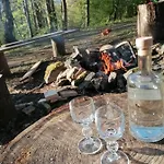 Treehouse Велке Лосины