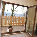 Treehouse * Velké Losiny
