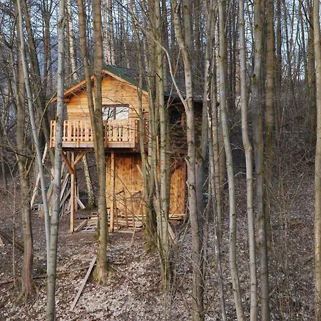 Treehouse Velké Losiny
