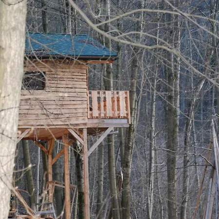 Lodge Treehouse