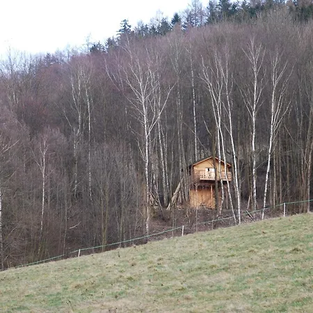 Treehouse 롯지 Velké Losiny
