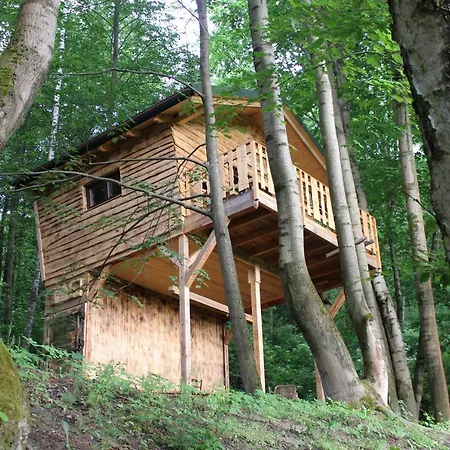 Treehouse * Velké Losiny