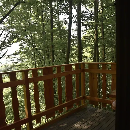 Gerendaház Treehouse Velké Losiny