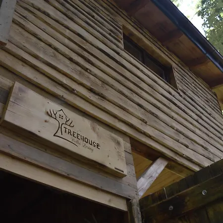 Treehouse *