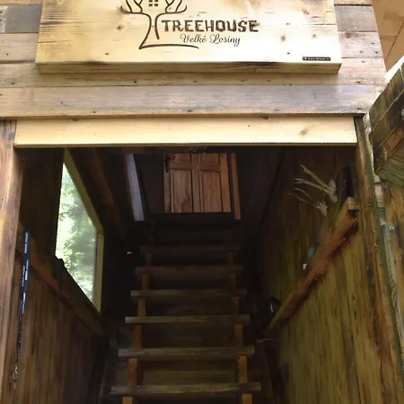 Treehouse Velké Losiny