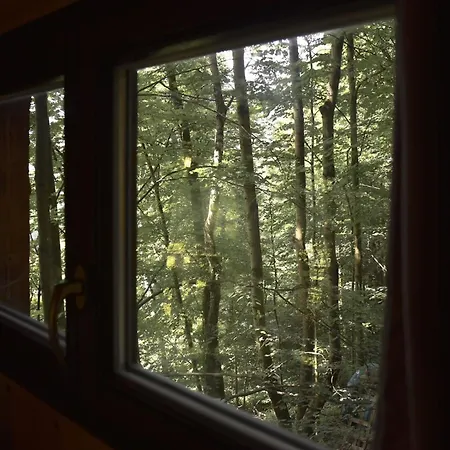 Treehouse * Velké Losiny