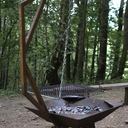Treehouse