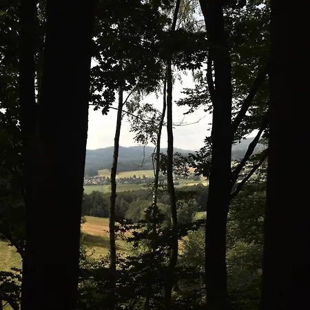 Treehouse 롯지 *