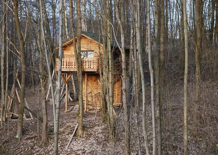 Treehouse Velké Losiny