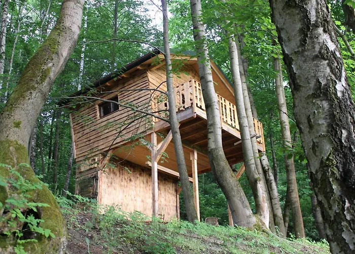 Treehouse * Velké Losiny