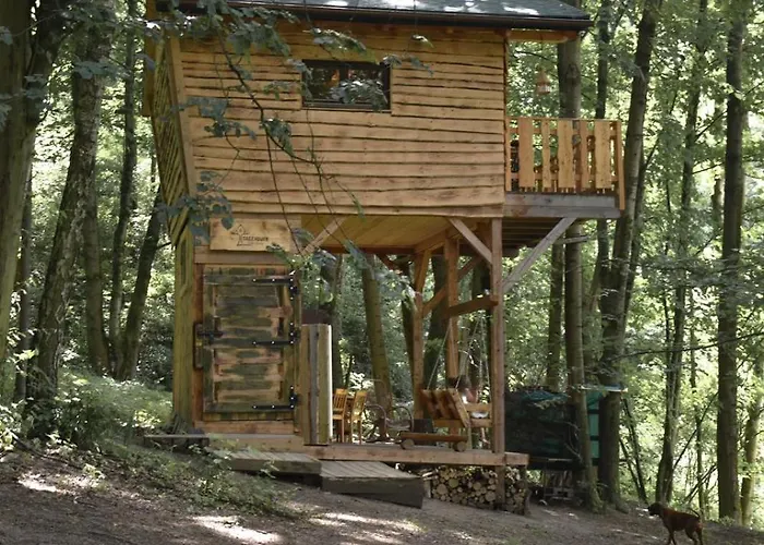 Treehouse Lodge