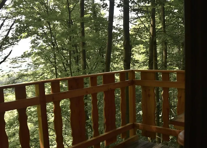 Lodge Treehouse Velké Losiny