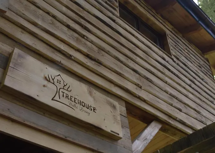 Treehouse *