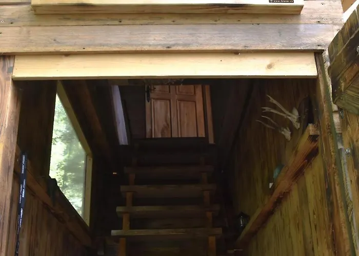 Treehouse Velké Losiny