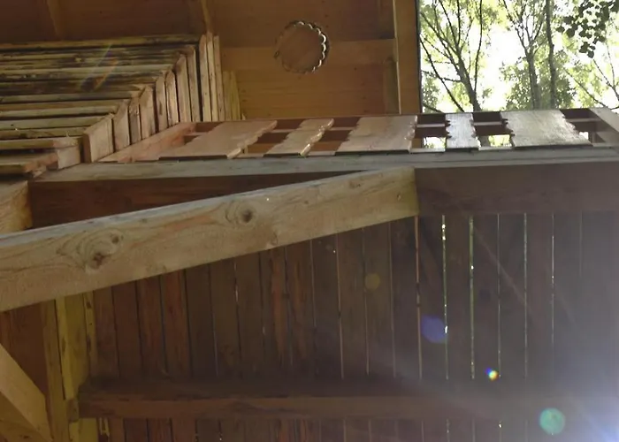 Treehouse Lodge Velké Losiny
