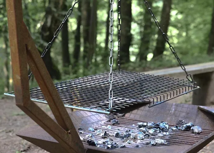 Lodge Treehouse Velké Losiny