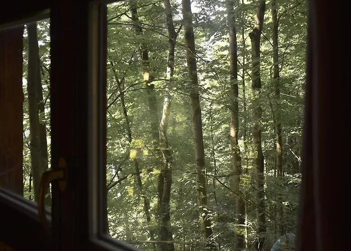 Treehouse * Velké Losiny